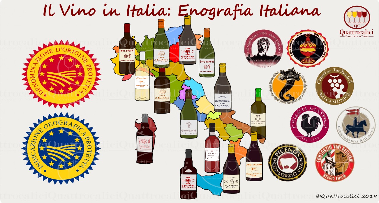 Il Vino In Italia Quattrocalici Conoscere Il Vino