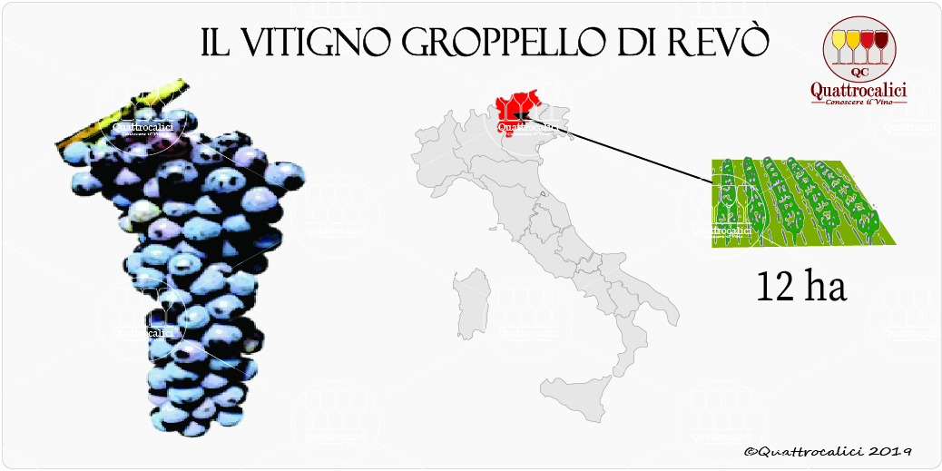 Groppello Di Rev Quattrocalici L Atlante Dei Vitigni