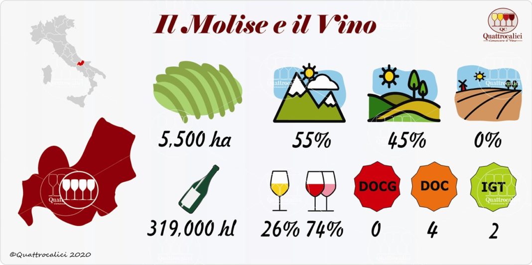 Molise Quattrocalici La Guida Al Vino E All Enoturismo