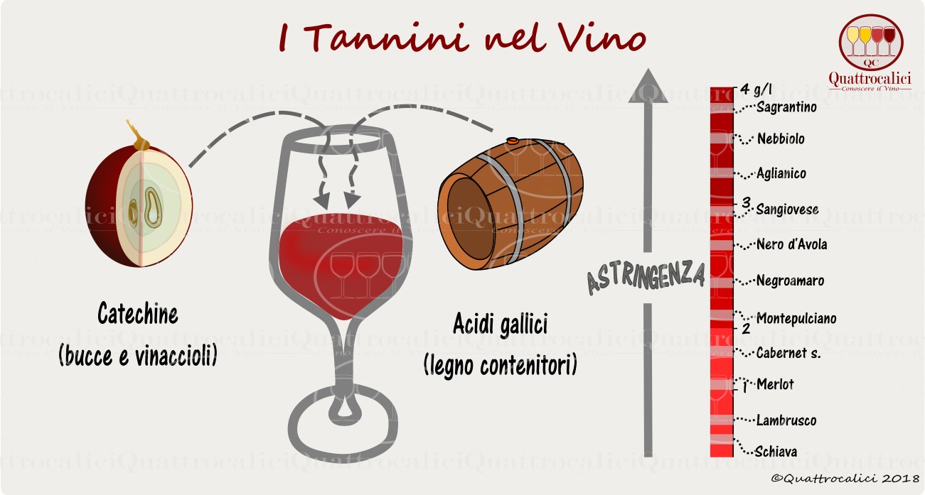 Tannicit Del Vino Quattrocalici Conoscere Il Vino