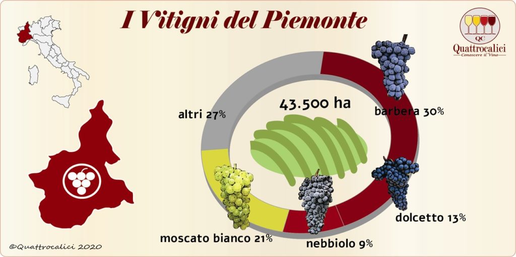 Il Vino In Piemonte Quattrocalici Le Regioni Del Vino