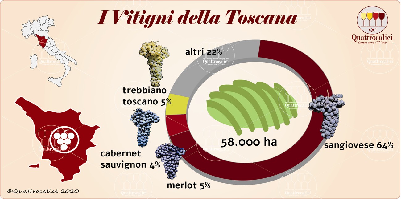 Il Vino In Toscana Quattrocalici Le Regioni Del Vino