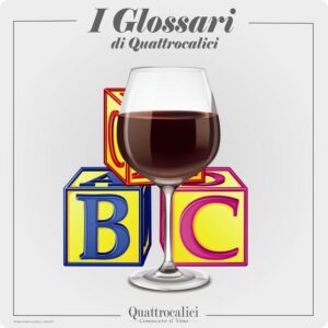 Lambrusco La Degustazione Quattrocalici