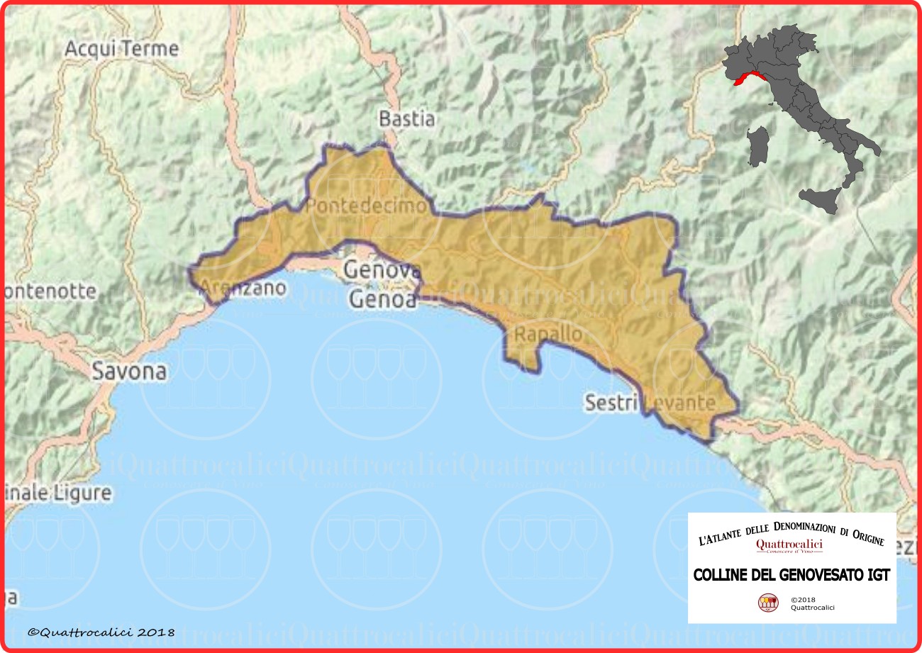 Colline Del Genovesato IGT   Quattrocalici   Tutte Le IGT Della Regione