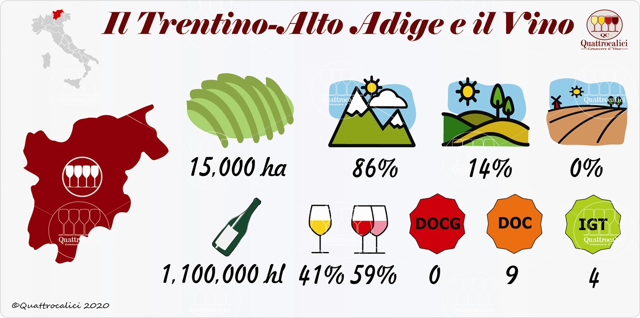 Trentino Alto Adige Quattrocalici La Guida Al Vino E Allenoturismo