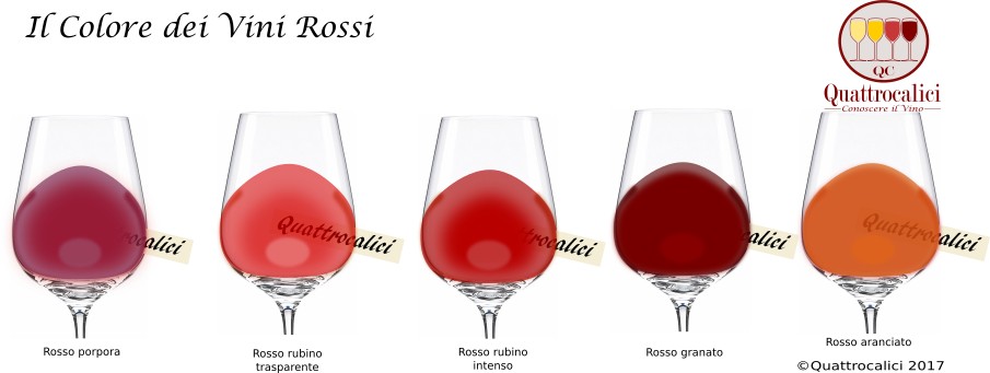 Il Colore Nei Vini Rossi Quattrocalici Conoscere Il Vino