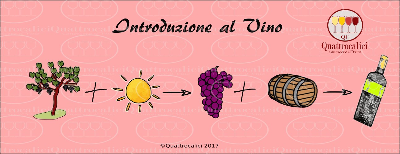 Cos E Il Vino Quattrocalici Conoscere Il Vino