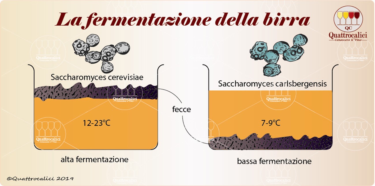 Prodotti Secondari Della Fermentazione Alcolica - Milaing