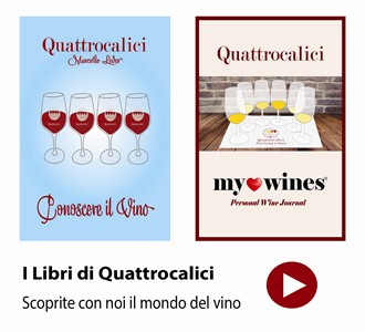 Metodo Classico Quattrocalici Conoscere Il Vino