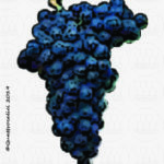 vitigno albarossa