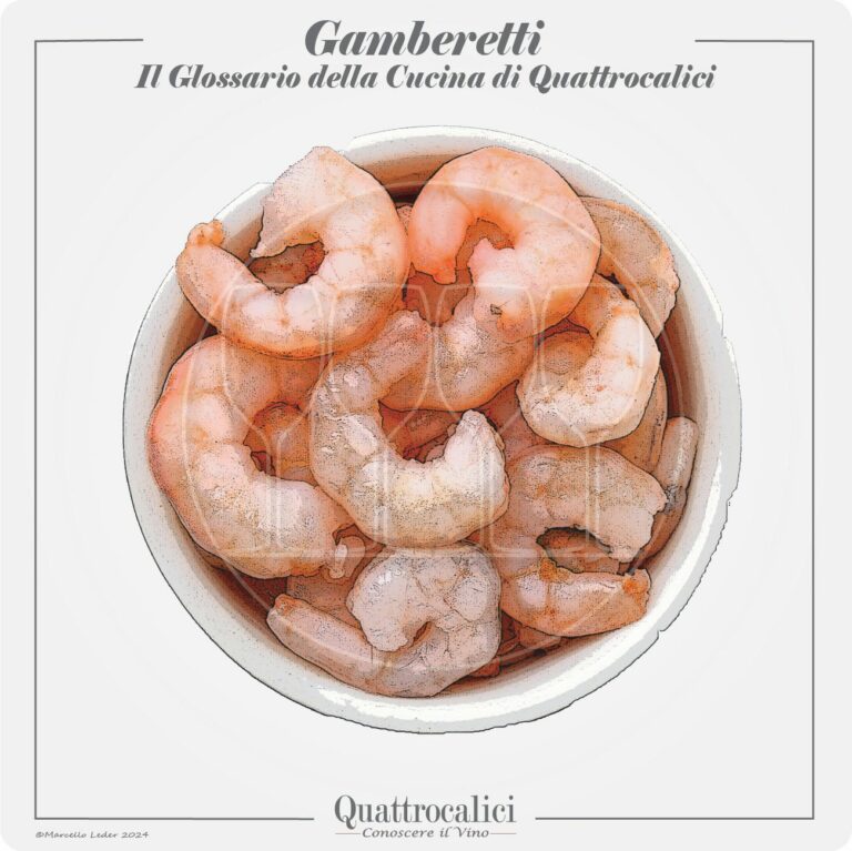 gamberetti in cucina e con i vini