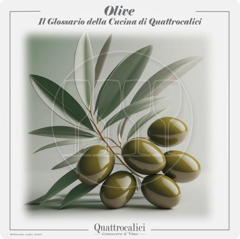 le olive e il loro uso in cucina