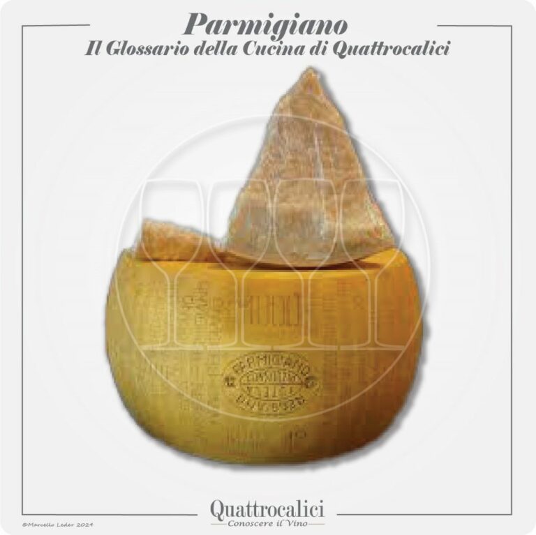 Il Parmigiano, le ricette e i vini in abbinamento