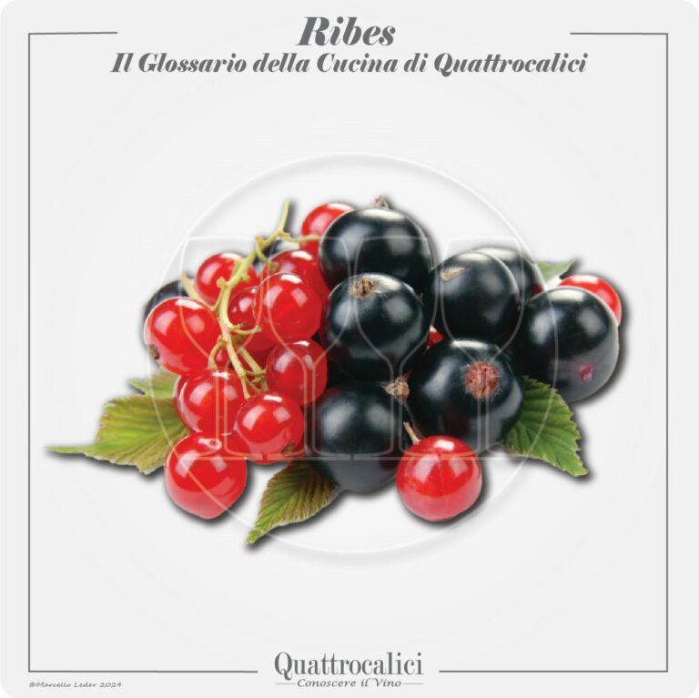 il ribes in cucina