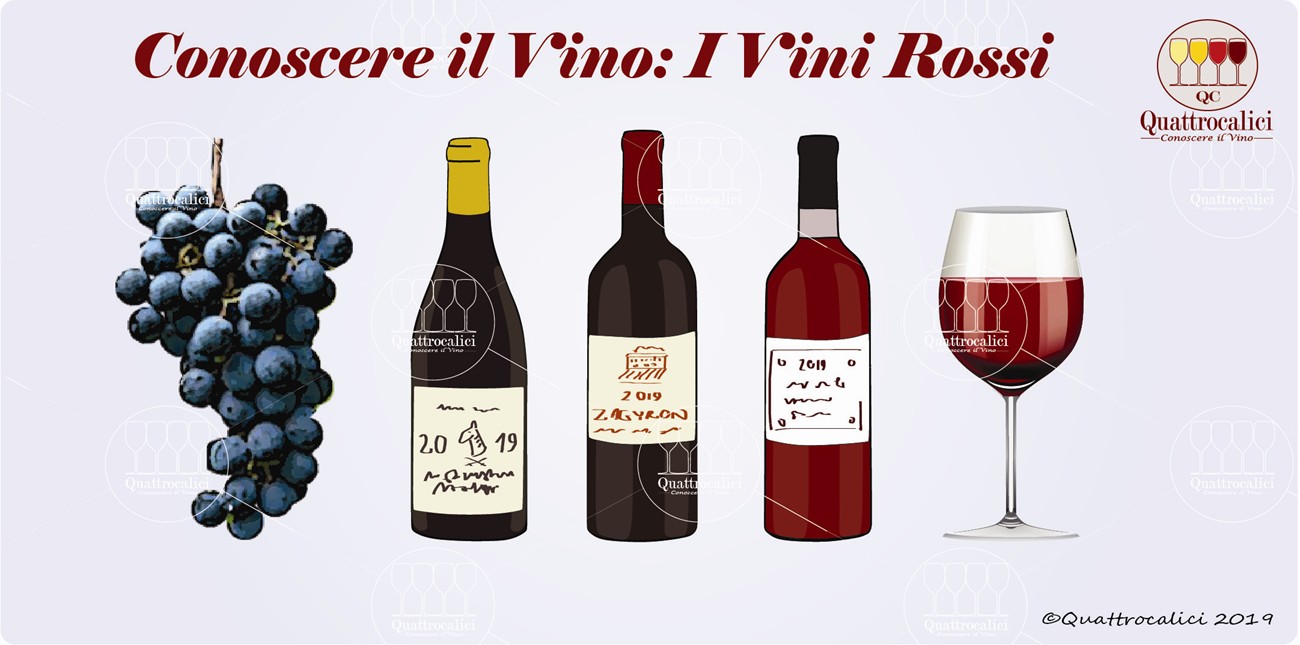 Vini Rossi - Conoscere il vino - Quattrocalici