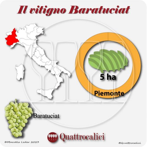 Il Vitigno Baratuciat e la sua coltivazione in Italia